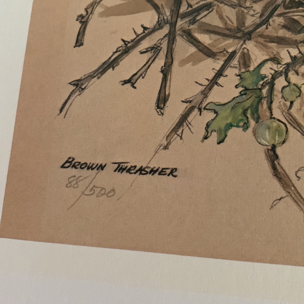 1975, set of numbered, 88/500 and 89/500 signed prints of birds nest MARY MUGG. - Picture 6 of 9